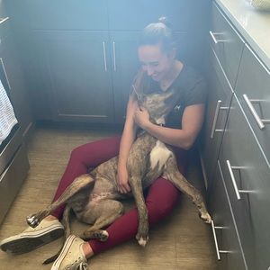 Meet your Posher, Alayna